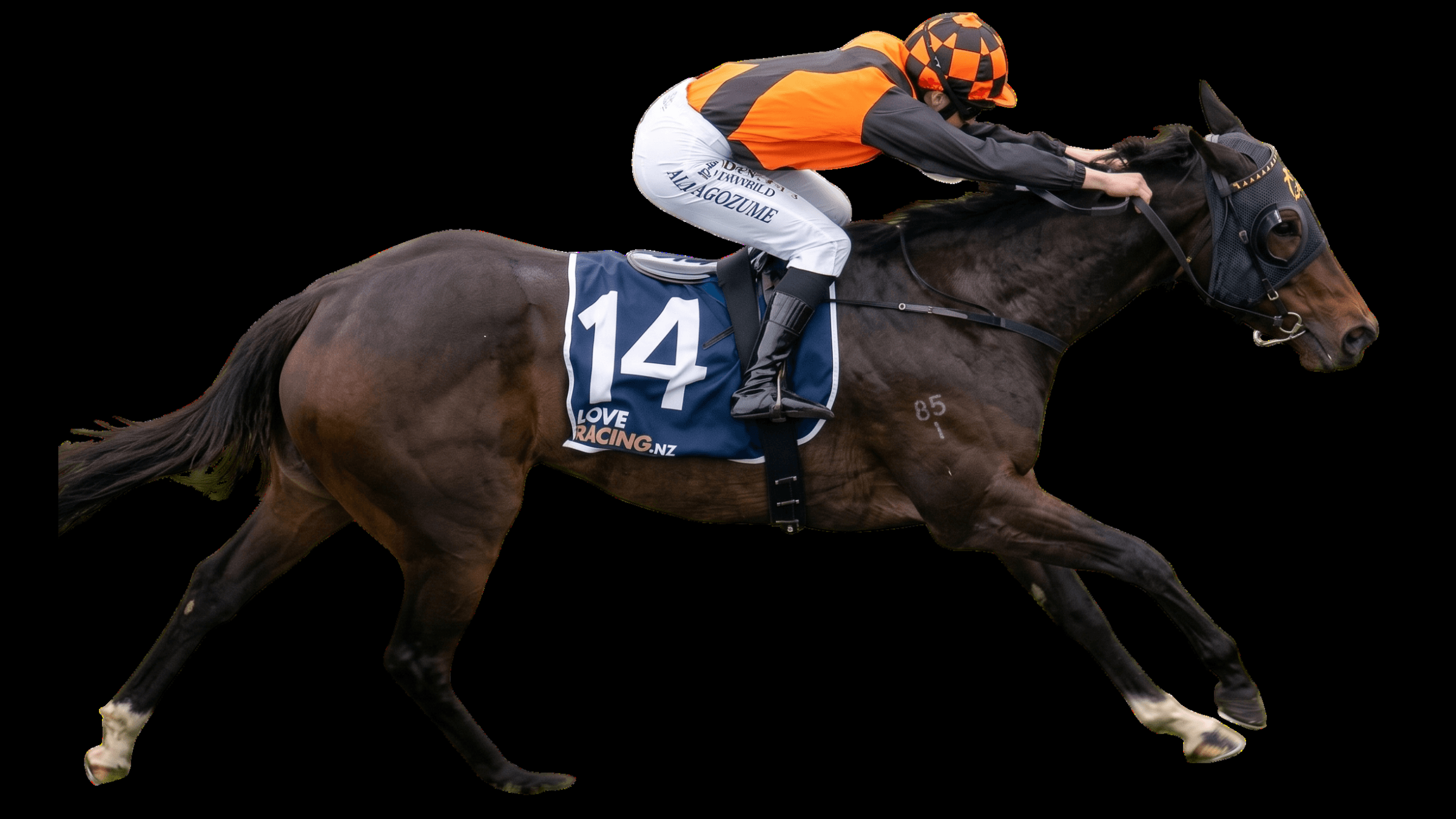Prudentia (NZ)
