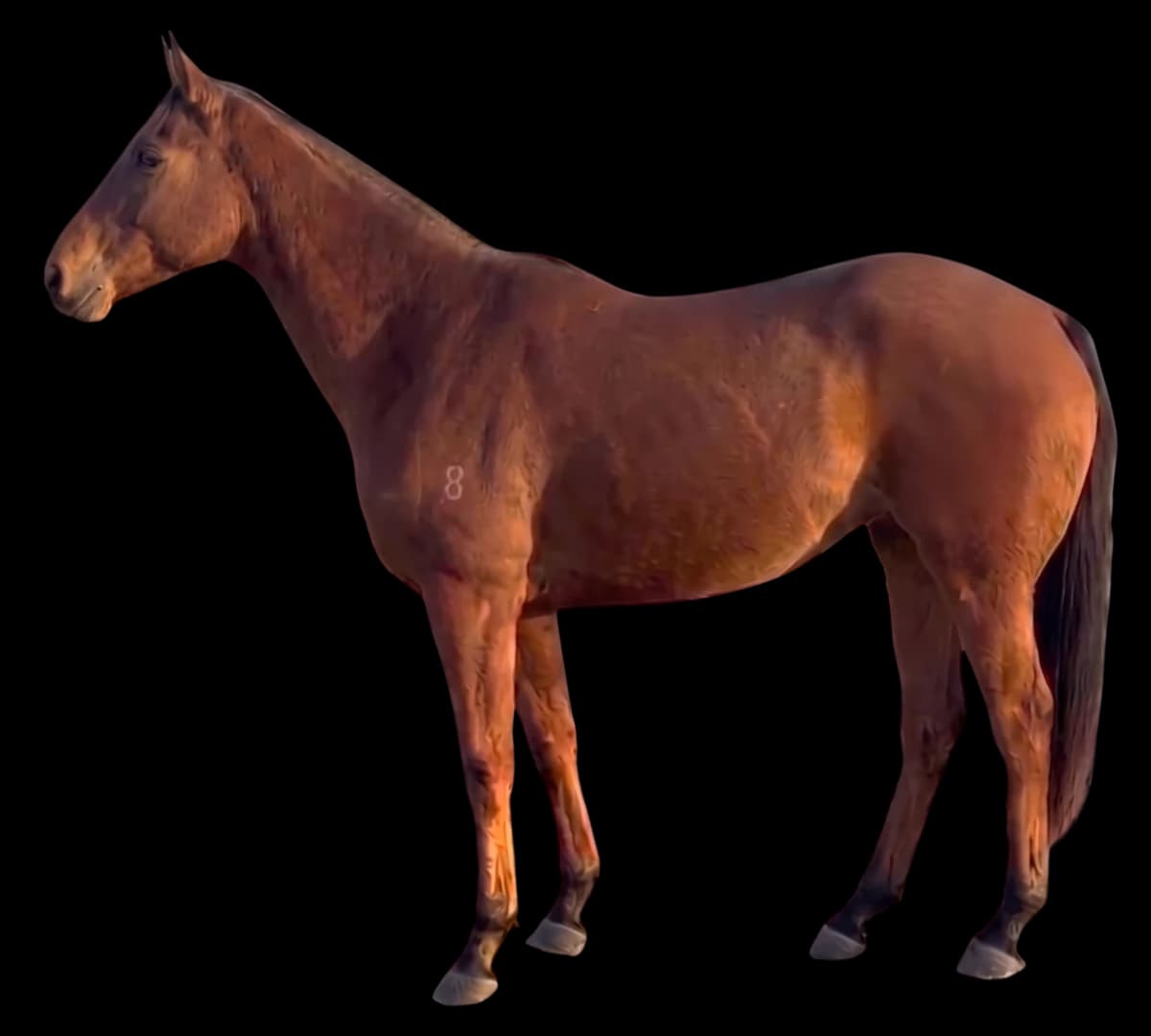 Turn Me Loose x Yearn (unnamed)