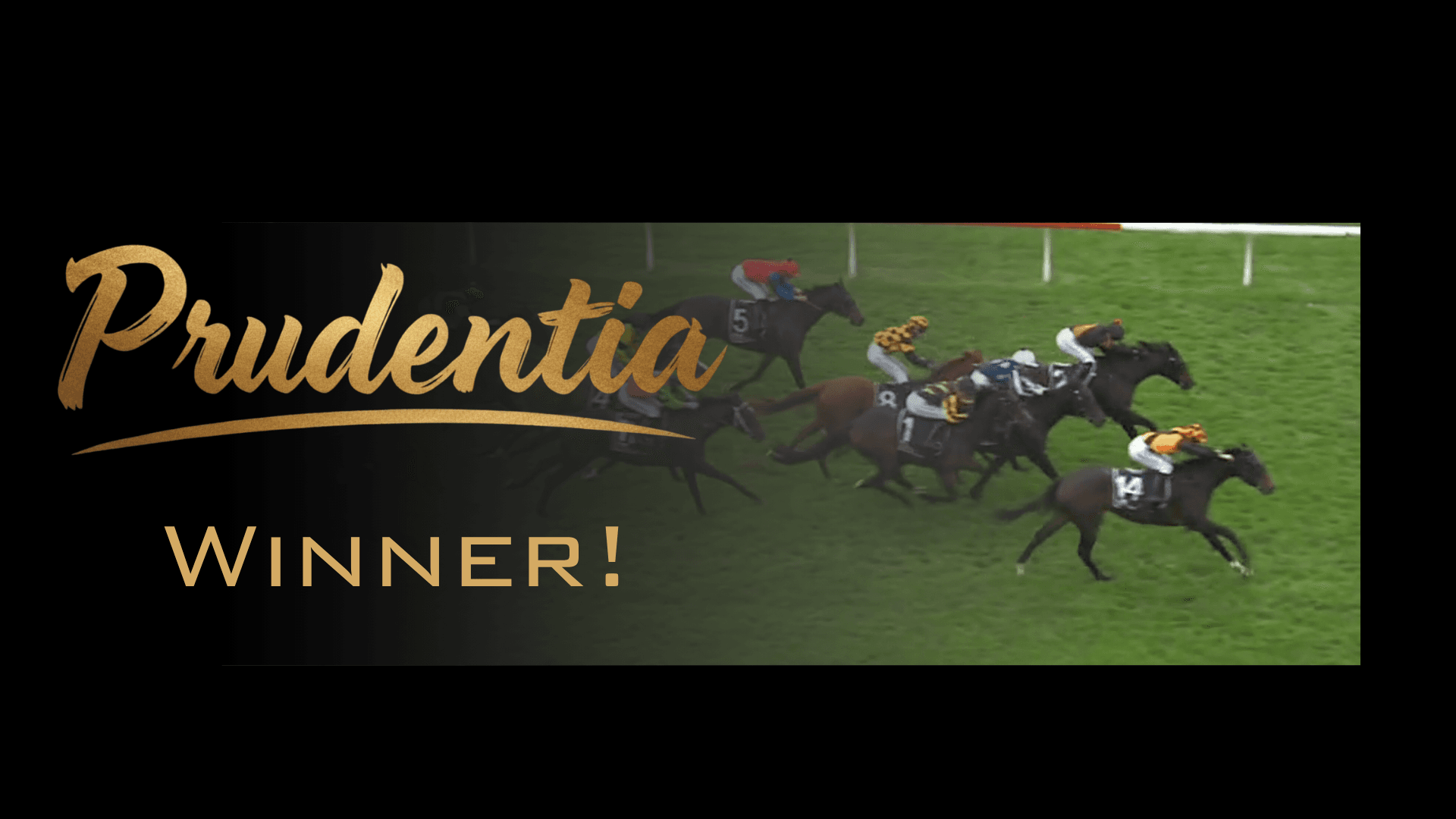 Prudentia Wins at Te Rapa in Gutsy Heavy Track Performance