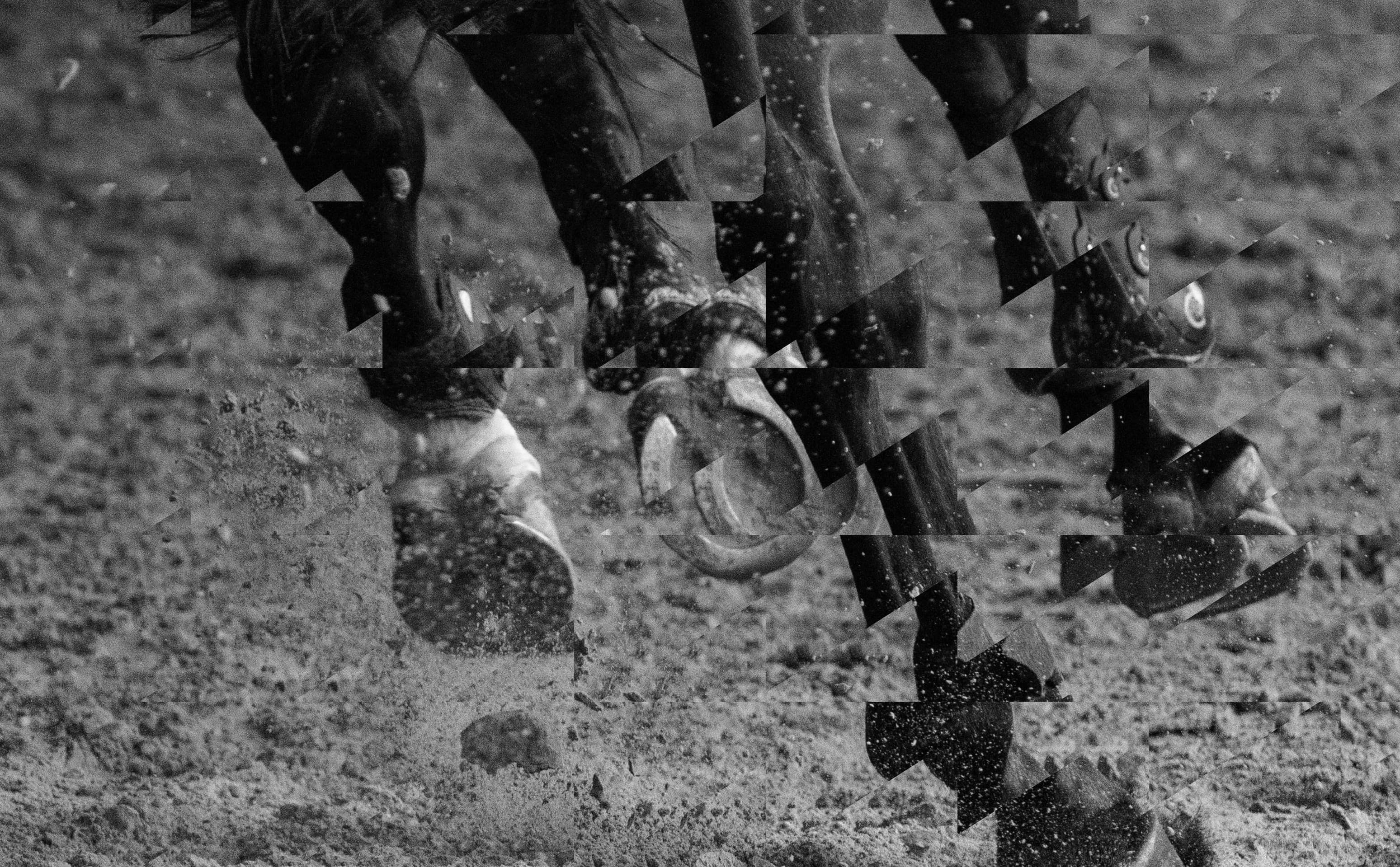 Horse hooves background