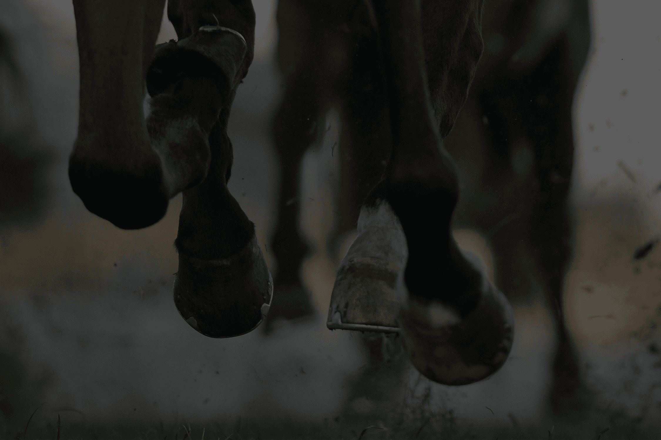 Hooves on grass background