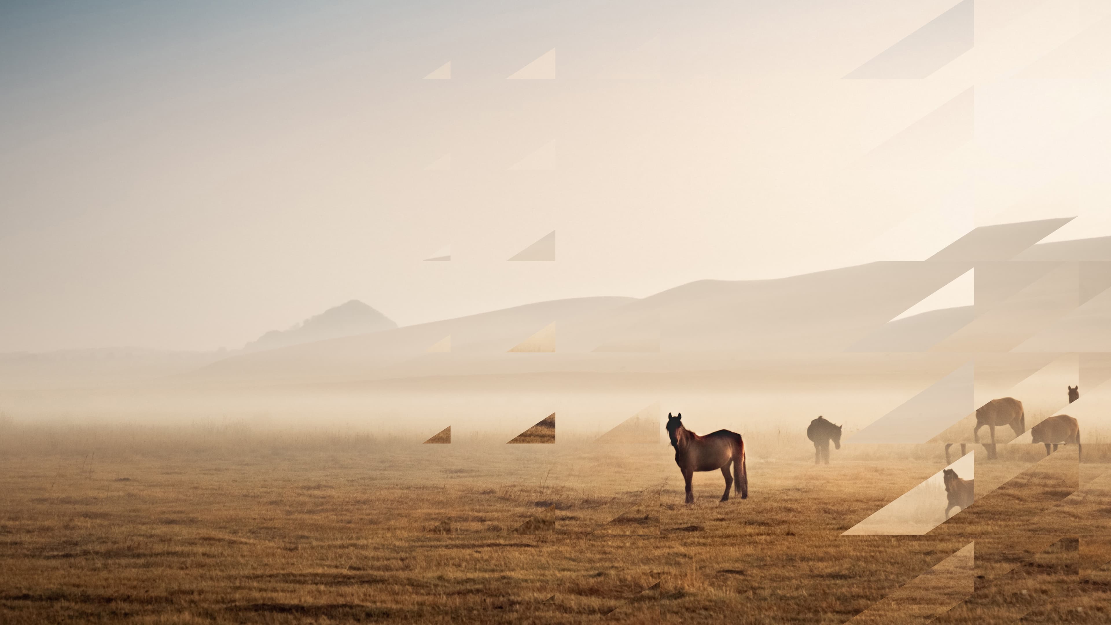 Digital landscape background